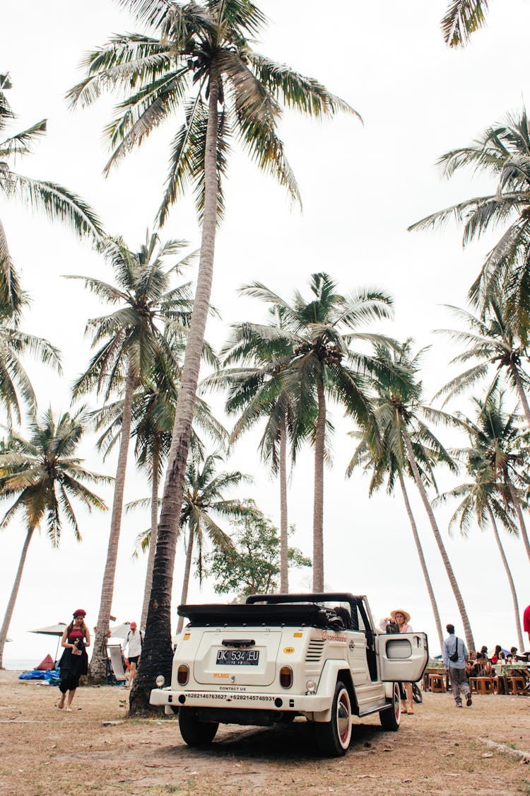 SUV On Sandy Beach With Palms