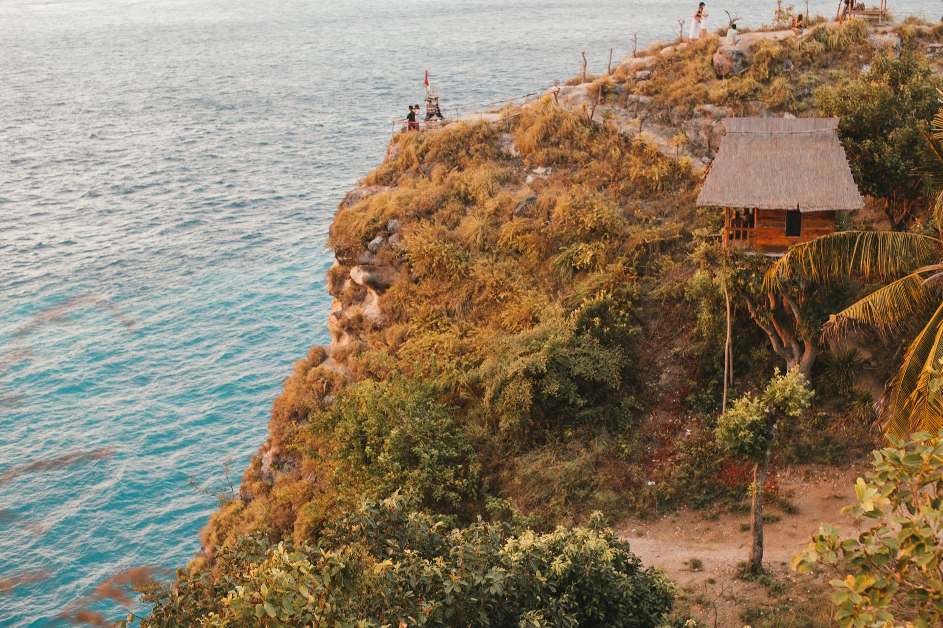 Rocky coast with vegetation and treehouse