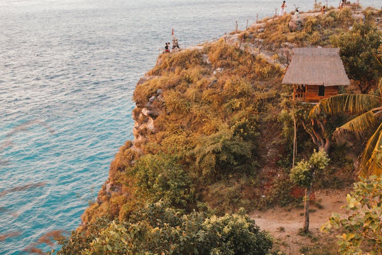 Rocky Coast With Vegetation And Treehouse