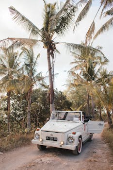Front bumper of retro automobile on narrow roadway between greenery trees on summer day