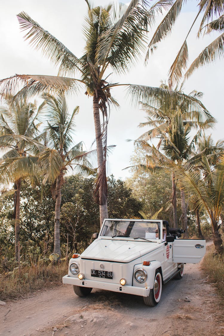 Vintage Car On Road With Palm Trees