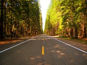 蔚蓝的天空下，一条绿树成荫的宁静道路向远方延伸