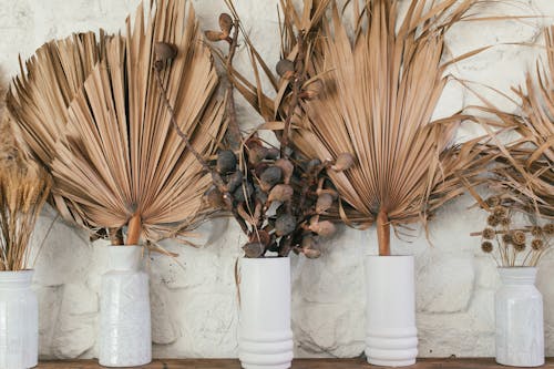 Collection of dry plant leaves in vases on white background