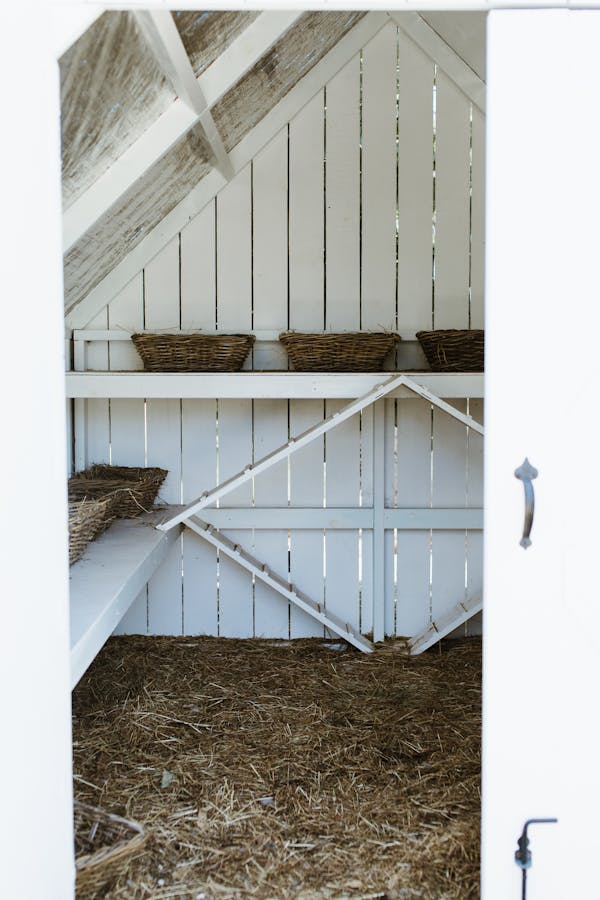 Countryside coop with wooden shelves and similar wicker baskets above straw on floor in daylight