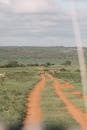 View from safari truck riding along dry road located in green savanna while wild antelopes passing around on cloudy day