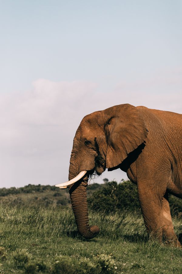 Fly to Queen Elizabeth NP - Uganda Safari Flights