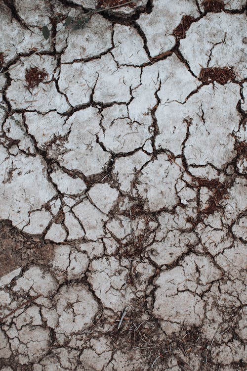 From above closeup of white cracked surface of dry brown ground with parts of died plants