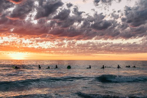 Free Silhouettes of people with surfboards standing in deep blue ocean water while watching picturesque bright sunset on horizon and cumulus clouds Stock Photo