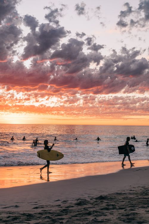 Surfers on beach at sunset · Free Stock Photo
