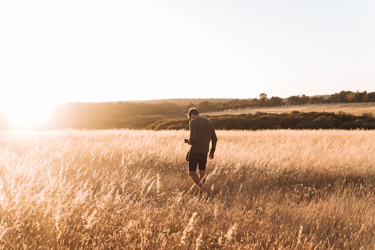 Young Man Walking In Field