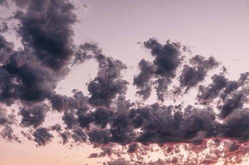 From below of dark fluffy clouds floating in sky in summer evening at sundown