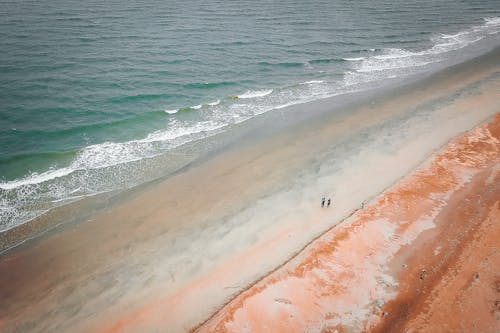 Unrecognizable tourists on sandy beach near wavy sea