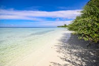 马尔代夫拉穆环礁的原始海滩绿树成荫，海水清澈