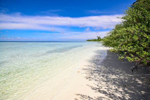 马尔代夫拉穆环礁的原始海滩绿树成荫，海水清澈