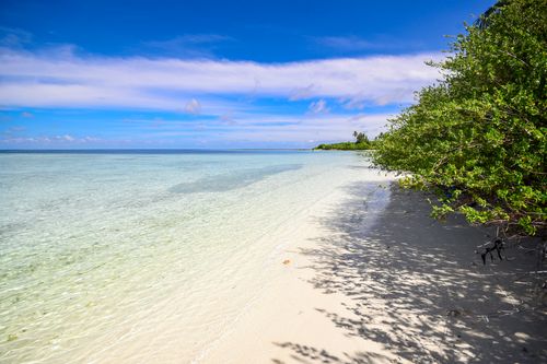 Free Pristine beach in Laamu Atoll, Maldives with clear waters and lush greenery. Stock Photo
