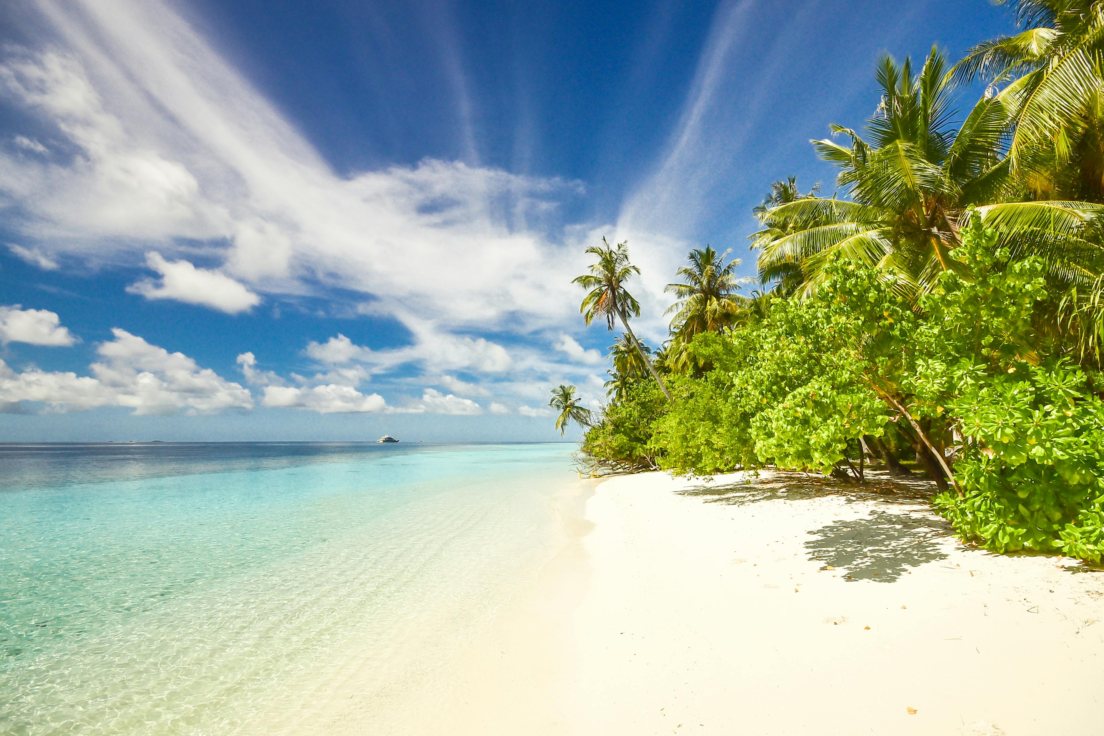 Summer beach scenery with flowers hi-res stock photography and