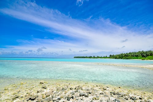 Free Body of Water Near Field of Trees Stock Photo