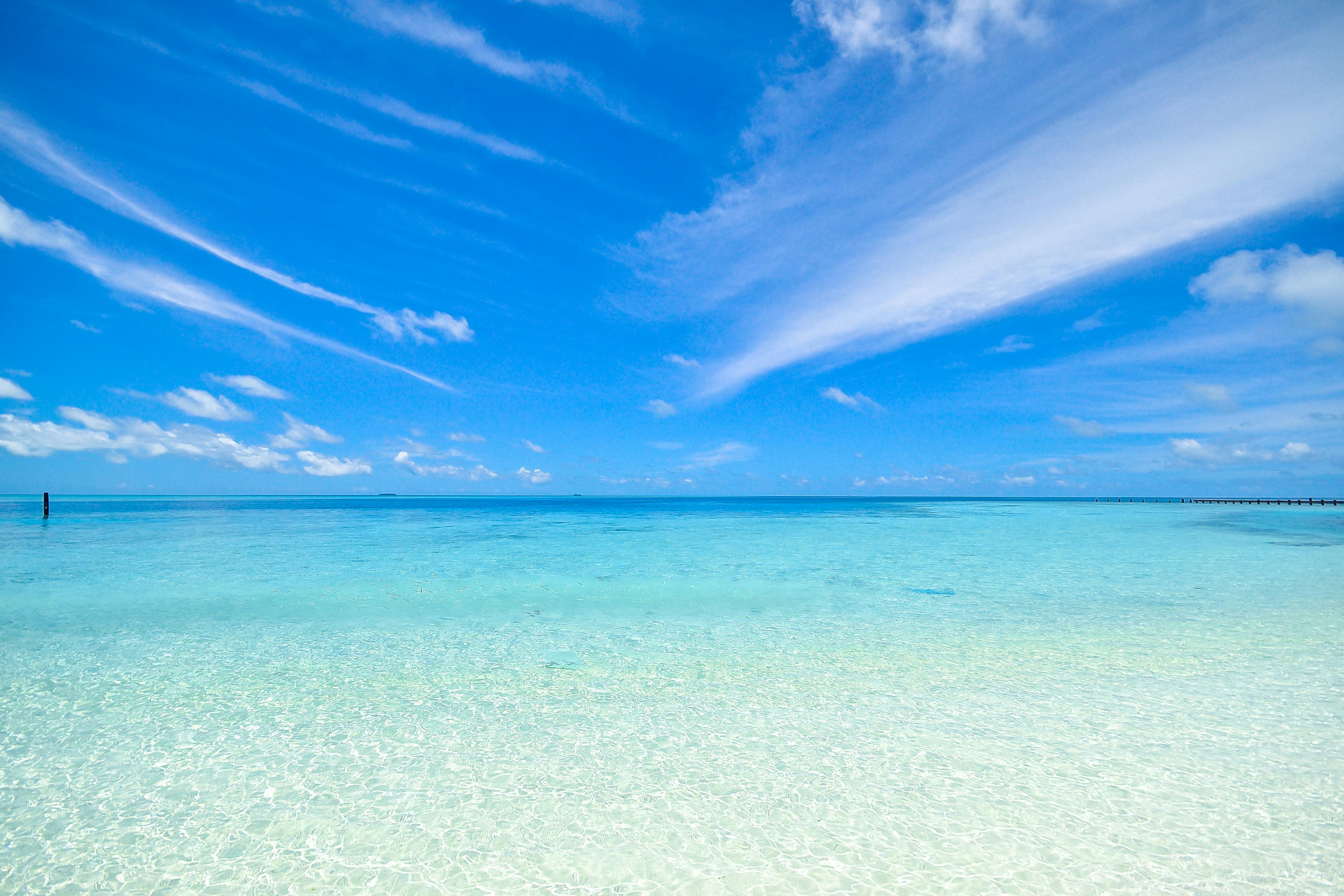 Beach Wallpaper 4K Aerial view Aerial Photography 8369