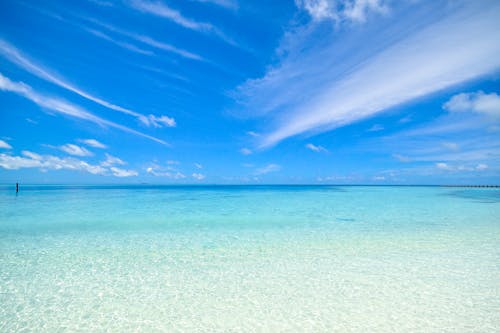 Fotobanka s bezplatnými fotkami na tému denné svetlo, hd tapeta, horizont