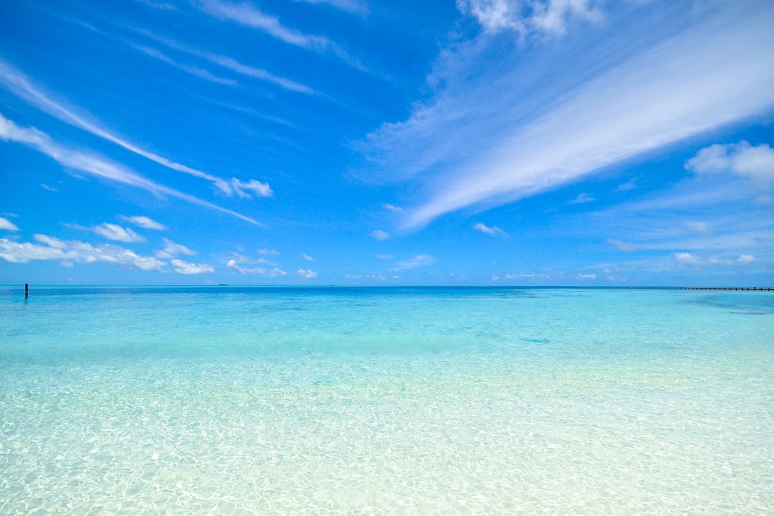 Free Clear Blue Shore Stock Photo