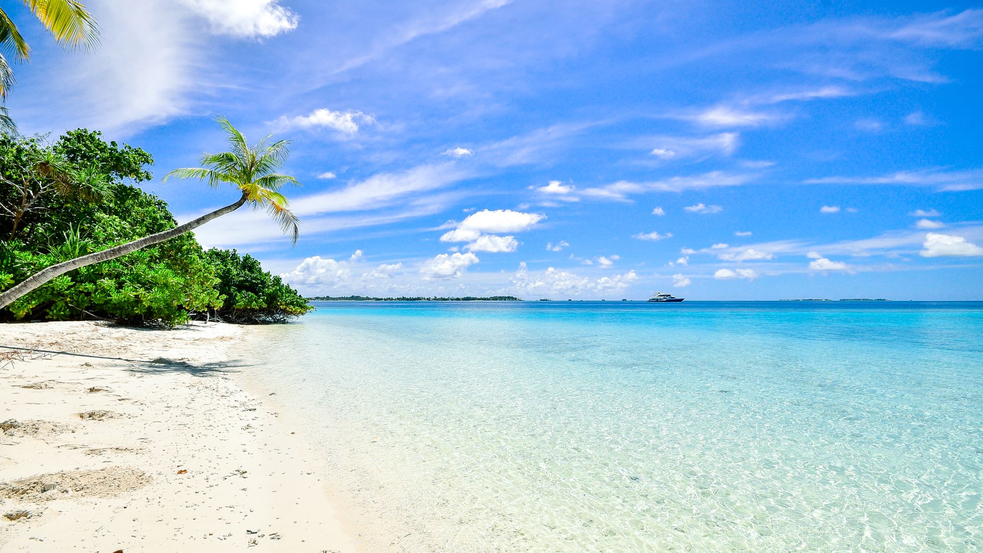 Beautiful pristine beach