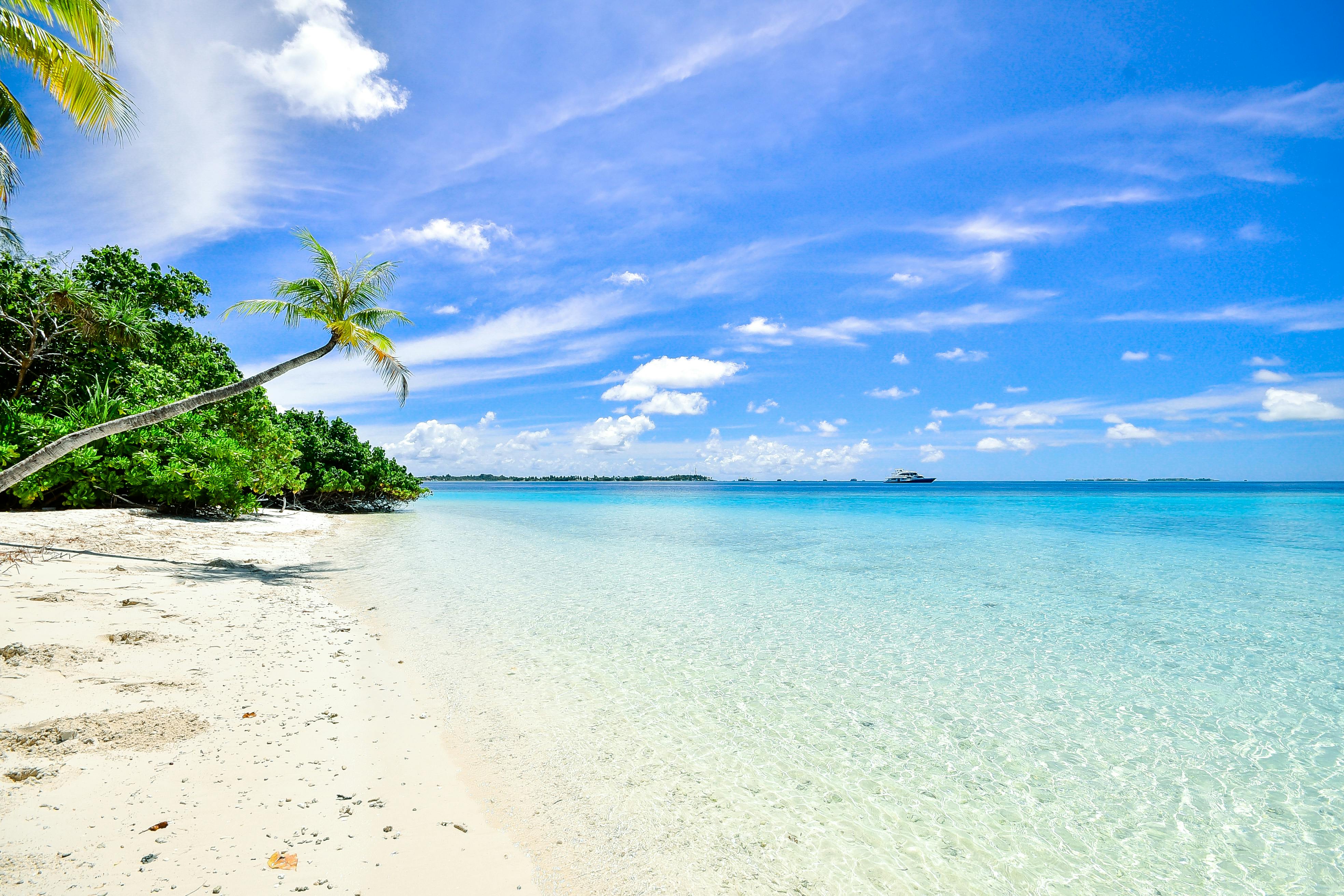 Free beach pictures · Pexels · Free Stock Photos