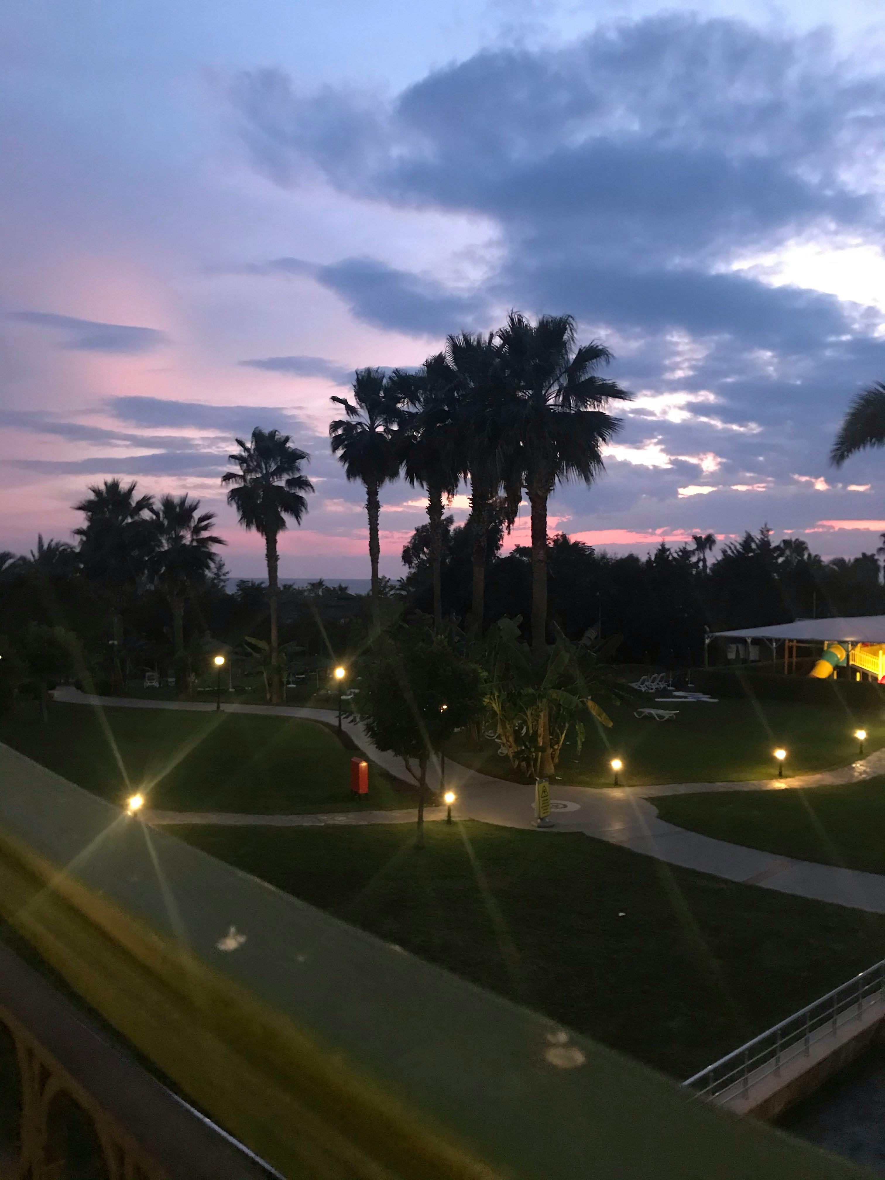 Ekaterina Novikova Photography