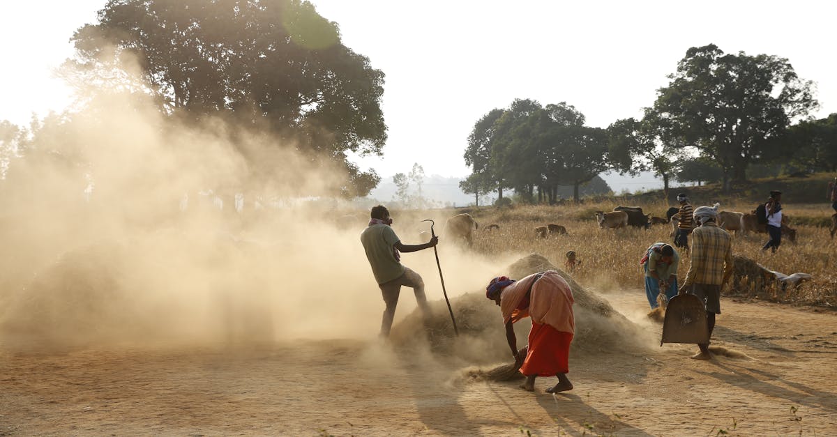 People Working in Rural Area · Free Stock Photo