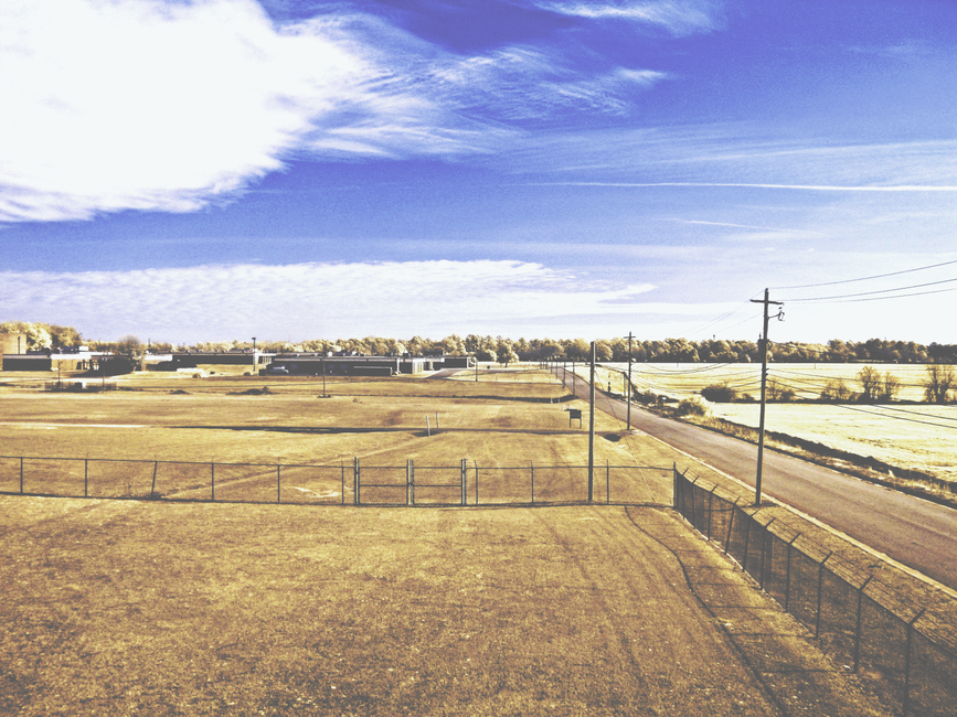 Vast rural view with blue skies and fields in Fort Valley, Georgia.