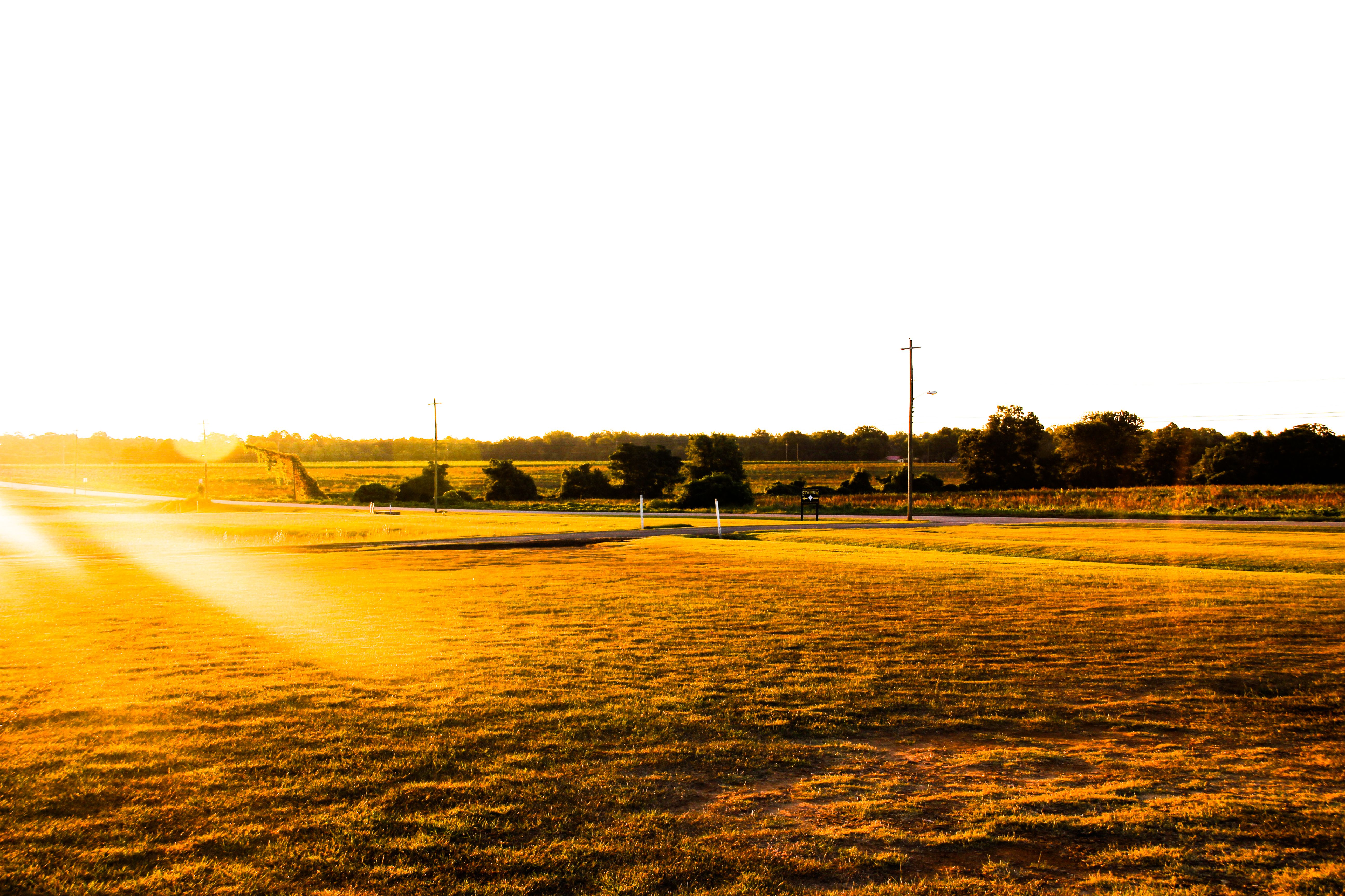 Free stock photo of beautiful, daylight, farmland