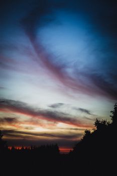 From below of picturesque cirrus clouds in colorful sunset sky over silhouettes of lush trees