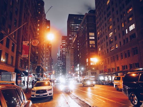 Free stock photo of city, new york