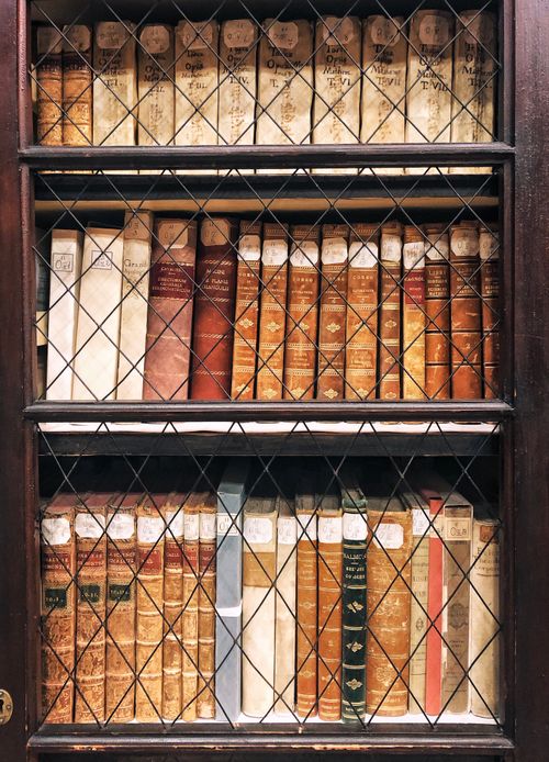 Retro bookshelf with various novels