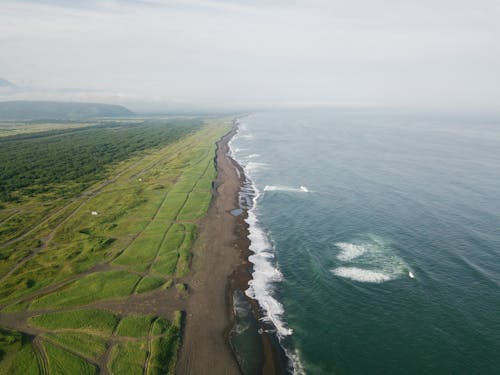 Green Grass Field Near Coastline