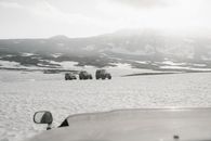 White Car on Snow Covered Field