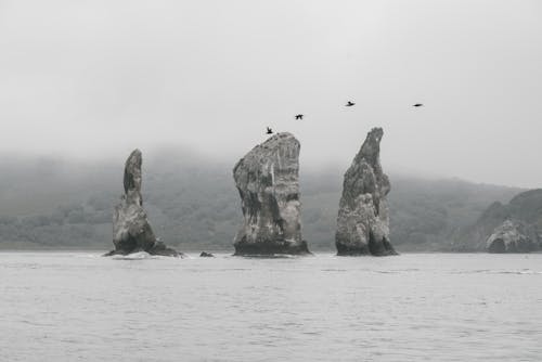 Free Fog and Clouds over Rocks on Sea Stock Photo