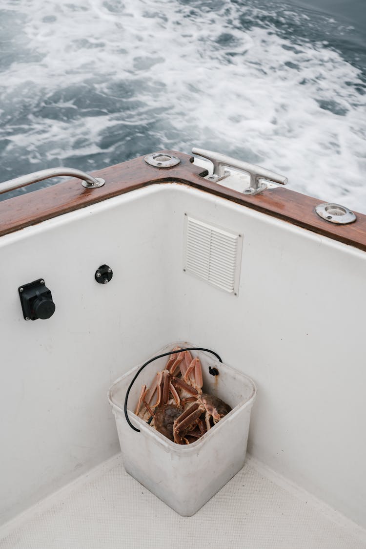 Fish In Basket On Boat