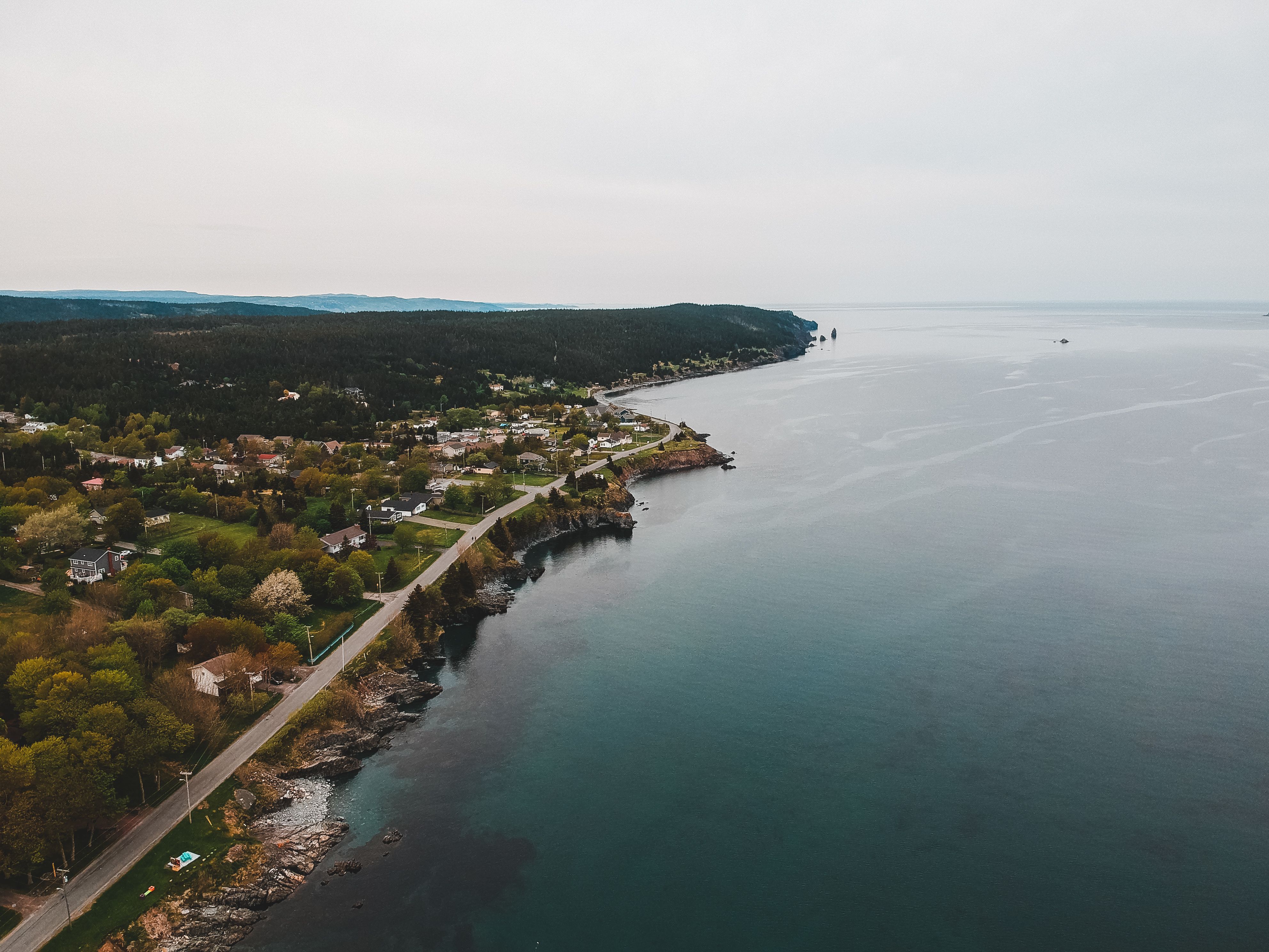 Amazing aerial view of calm town with residential houses and lush autumn trees located on ocean shore against cloudy sky