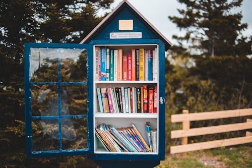Free Wooden house shaped public bookcase with opened door filled with books and located in lush green park Stock Photo