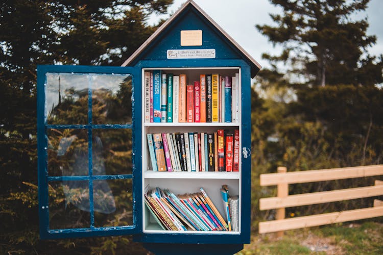 Creative Public Bookcase Located In Green Park