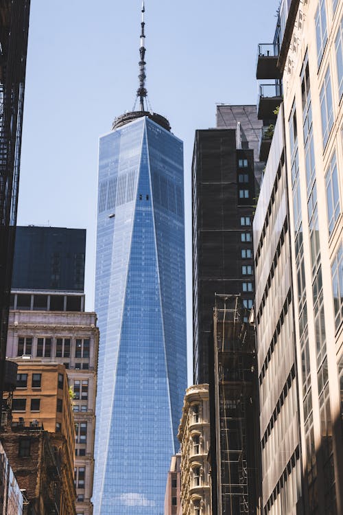 Contemporary skyscraper with glass walls in downtown