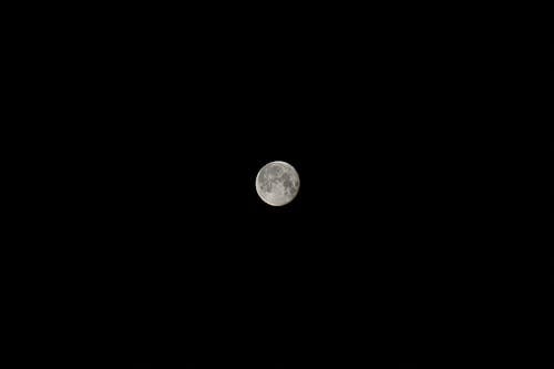 Free Full Moon in Pitch Black Sky Stock Photo