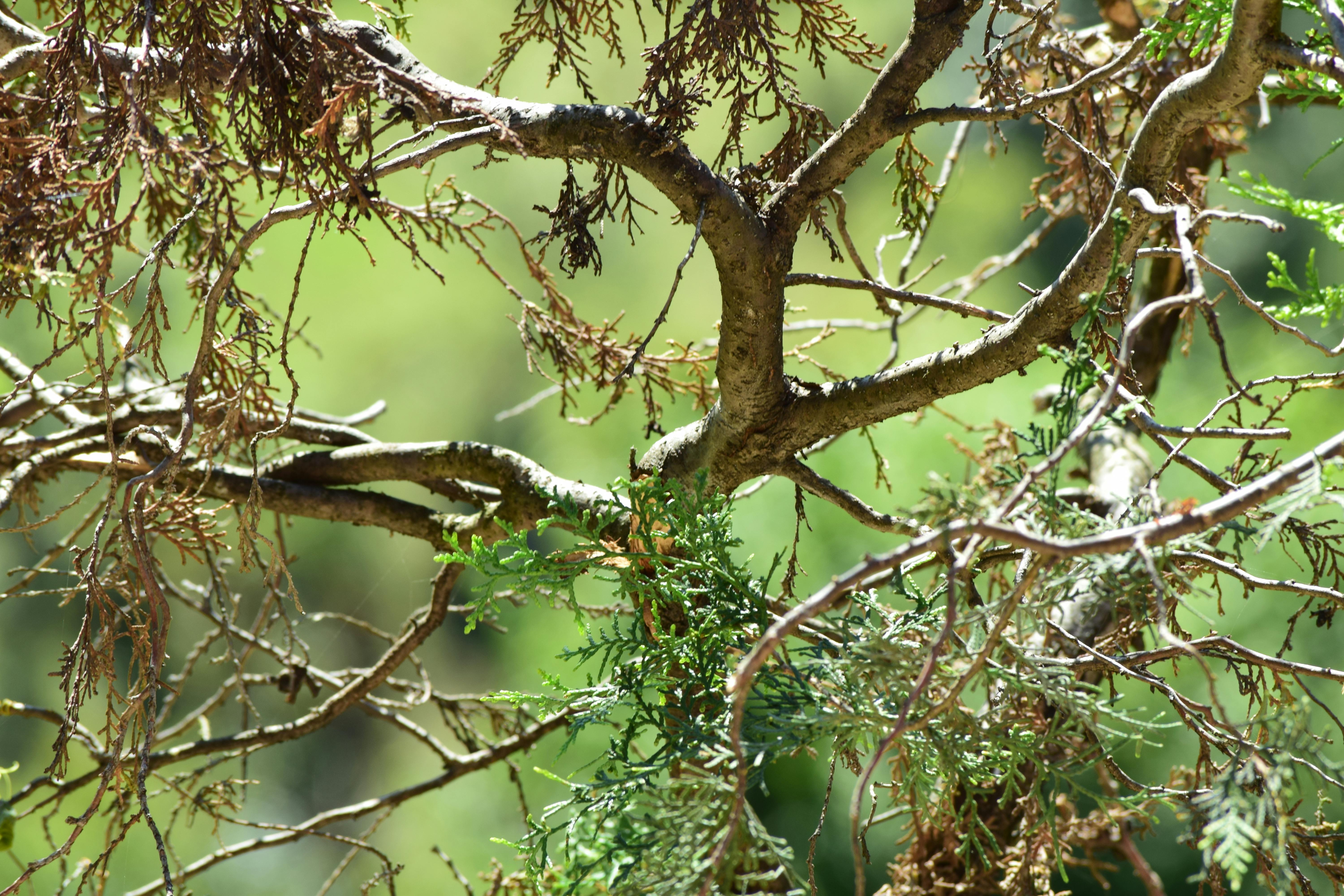 A frustrated person looking at a computer screen with an error message, representing gaming launch issues.