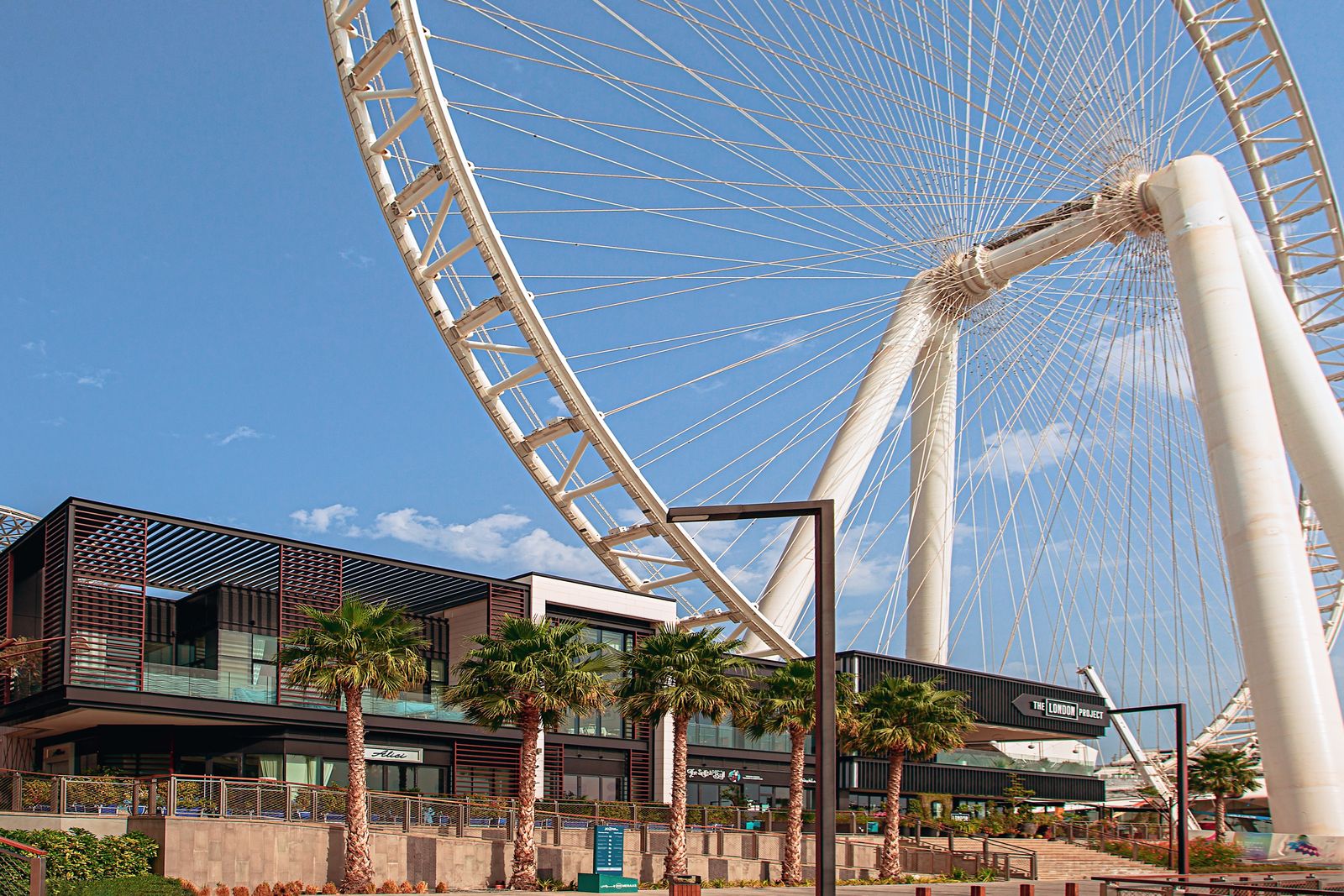 The Ain Dubai observation wheel above the low-rise buildings of Bluewaters Island