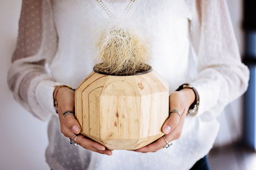 Person Holding Coconut Palm Vase