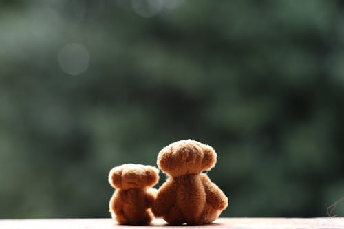 Cute retro plush teddy bears in different sizes placed on wooden bench against blurred green trees in park