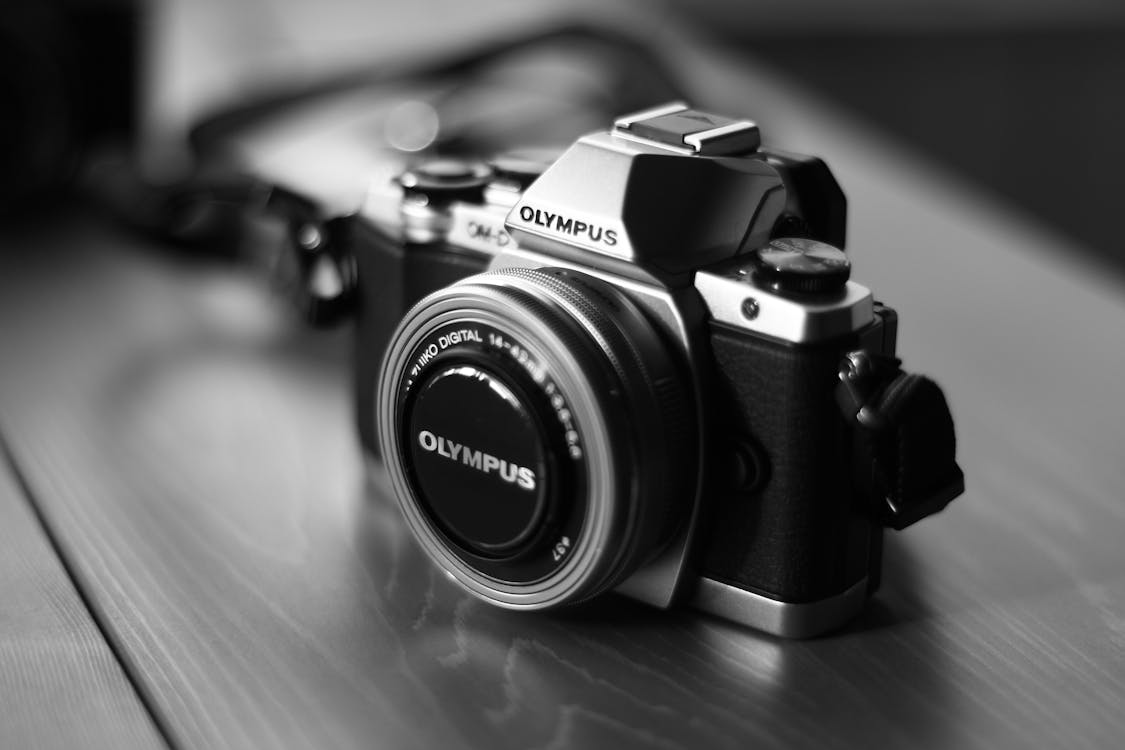 Free Grayscale Photo of Black and Gray Olympus Camera Stock Photo