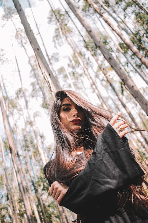 Free From below of alluring young ethnic lady in casual clothes touching long dark hair and looking at camera while resting in forest among tall trees Stock Photo