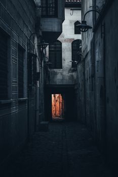 一条狭窄昏暗的小巷，建筑历史悠久，氛围神秘