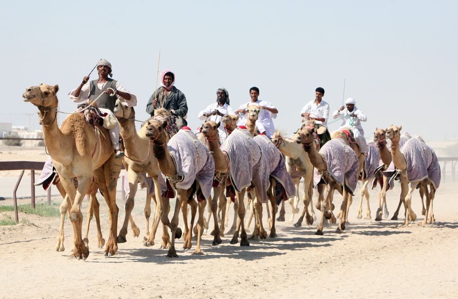Salaires à Al Wakrah, Qatar : rémunérations et secteurs en 2026
